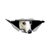 Aliauto 3D Car Sticker Dachshund Pet Dog Decal