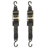 BoatBuckle Heavy Duty Ratchet Transom Tie- Downs (Pair)