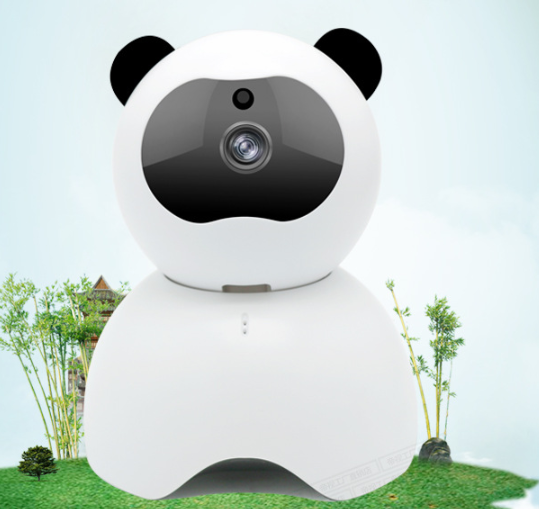 Style: 1080p - Care Home Security Camera